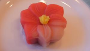 Wagashi of Spring