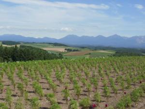 Range of Mt. Tokachidake