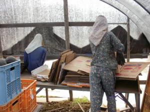 Fake Workers at Kanno Farm