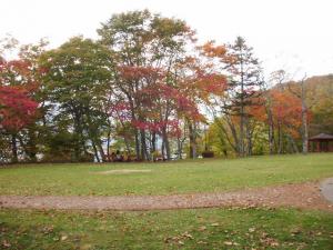 Autumn leaves of Lake Shikotsu