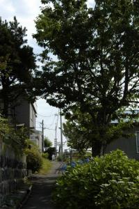 路地ー近道.1 | Copyright (C) 2008 hachi 路地ー近道.1 | Copyright (C) 2008 hachi