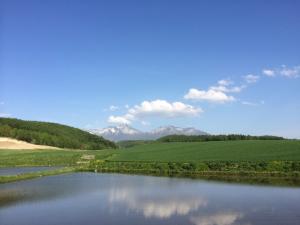 「ふらの産 減農薬減化学肥料栽培米 ゆめぴりか」が入荷しました