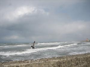 三寒の波|Copyright (C) Kazuo Yamamoto