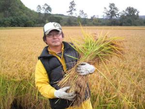 夢の混植米(こんしょくまい) をご紹介します