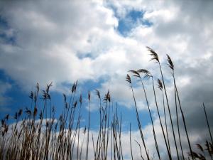 sora|Copyright (C) Kazuo Yamamoto