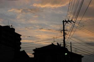 見上げると | Copyright (C) 2008 hachi 見上げると | Copyright (C) 2008 hachi