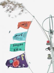 南西の風 | Copyright (C) 2008 hachi 南西の風 | Copyright (C) 2008 hachi