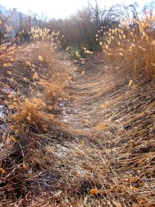 山口運河小樽方向|Copyright (C) Kazuo Yamamoto