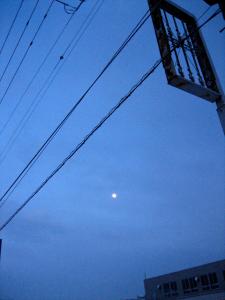 天| Copyright (C) Kazuo Yamamoto 天| Copyright (C) Kazuo Yamamoto