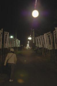 坂道にそって連なる旗 | Copyright (C) hachi 坂道にそって連なる旗 | Copyright (C) hachi