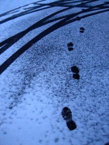 地| Copyright (C) Kazuo Yamamoto 地| Copyright (C) Kazuo Yamamoto