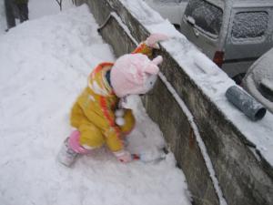 せっせと働くちっちゃなボランティアさん| Copyright (C) Kazuo Yamamoto せっせと働くちっちゃなボランティアさん| Copyright (C) Kazuo Yamamoto