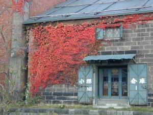 つた&倉庫 | Copyright (C) 2008 mica. つた&倉庫 | Copyright (C) 2008 mica.