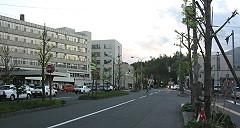 Too Early Trimming Too Early Trimming