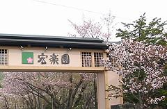 Flowery Season has come!