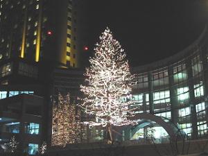 Wing Bay Otaru's Big Tree