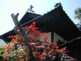 青山別邸の紅葉 | Copyright (C) 2008 mica.