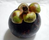 なんだろ? 果物?