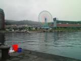 小雨まじりの築港でチカ釣りの竿を出すが、、 小雨まじりの築港でチカ釣りの竿を出すが、、