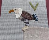 はげたかのパターン